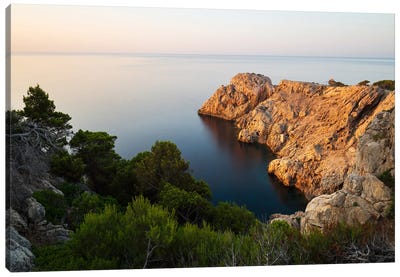 Golden Morning Light At The Mediterranean Coast Of Spain Canvas Art Print - Daniel Gastager
