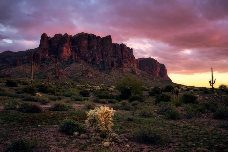 Red Sunset In The Desert - Arizona