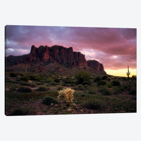 Red Sunset In The Desert - Arizona Canvas Print #DGG458} by Daniel Gastager Canvas Print