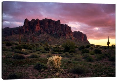 Red Sunset In The Desert - Arizona Canvas Art Print - Daniel Gastager