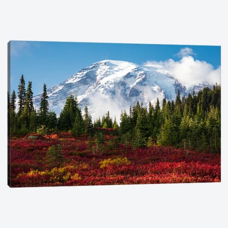 Beautiful Fall Colors At Mount Rainier National Park Canvas Print #DGG462} by Daniel Gastager Canvas Wall Art