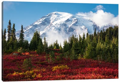 Beautiful Fall Colors At Mount Rainier National Park Canvas Art Print - Mount Rainier National Park Art