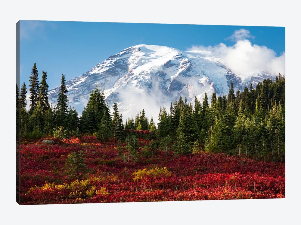 Beautiful Fall Colors At Mount Rainier National Park by Daniel Gastager 1-piece Art Print