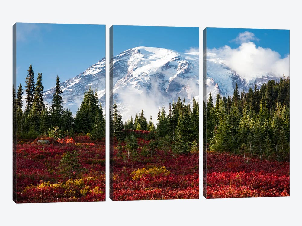 Beautiful Fall Colors At Mount Rainier National Park by Daniel Gastager 3-piece Art Print