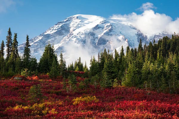 Daniel Gastager: Beautiful Fall Colors At Mount Rainier National Park by Daniel Gastager