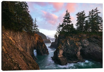 Pink Sunset Clouds At The Oregon Coast Canvas Art Print - Daniel Gastager