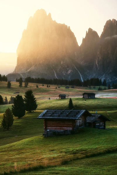 Daniel Gastager: Golden Alpine Sunrise At Alpe Di Siusi - Dolomites by Daniel Gastager