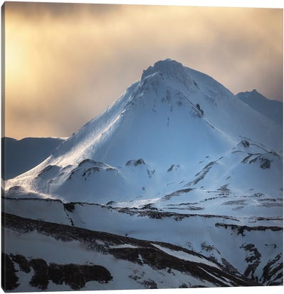 Golden Winter Light In Iceland Canvas Art Print - Daniel Gastager