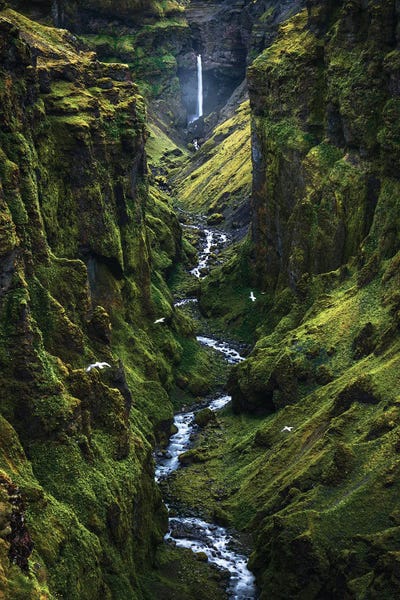 A Dramatic Green Canyon In Iceland by Daniel Gastager framed wall art