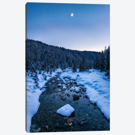Cold Winter Scene In The Forest - Dolomites Canvas Print #DGG512} by Daniel Gastager Canvas Art