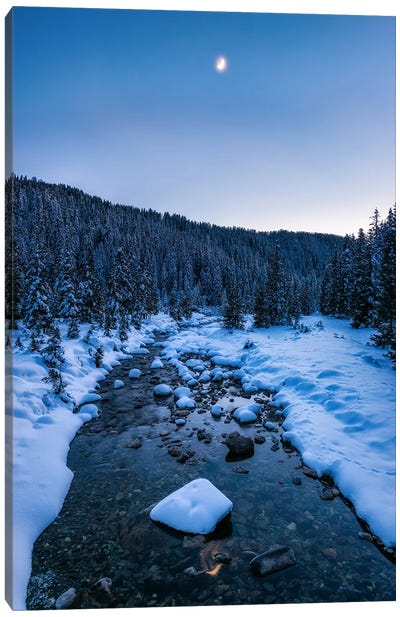 Cold Winter Scene In The Forest - Dolomites Canvas Art Print - Daniel Gastager
