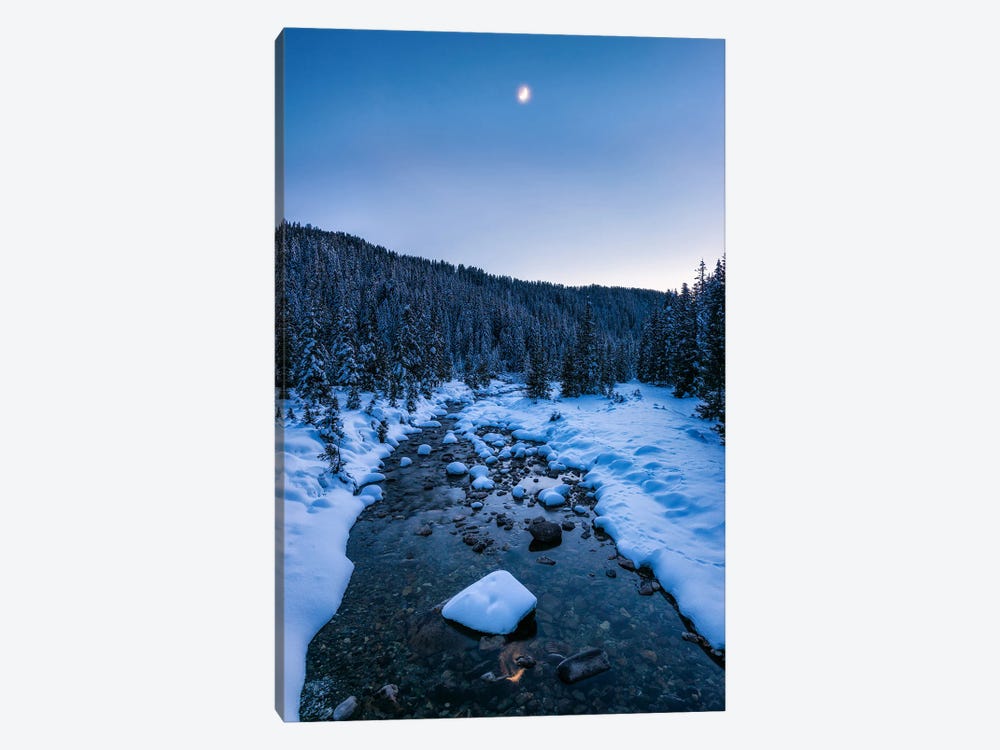 Cold Winter Scene In The Forest - Dolomites by Daniel Gastager 1-piece Canvas Art Print