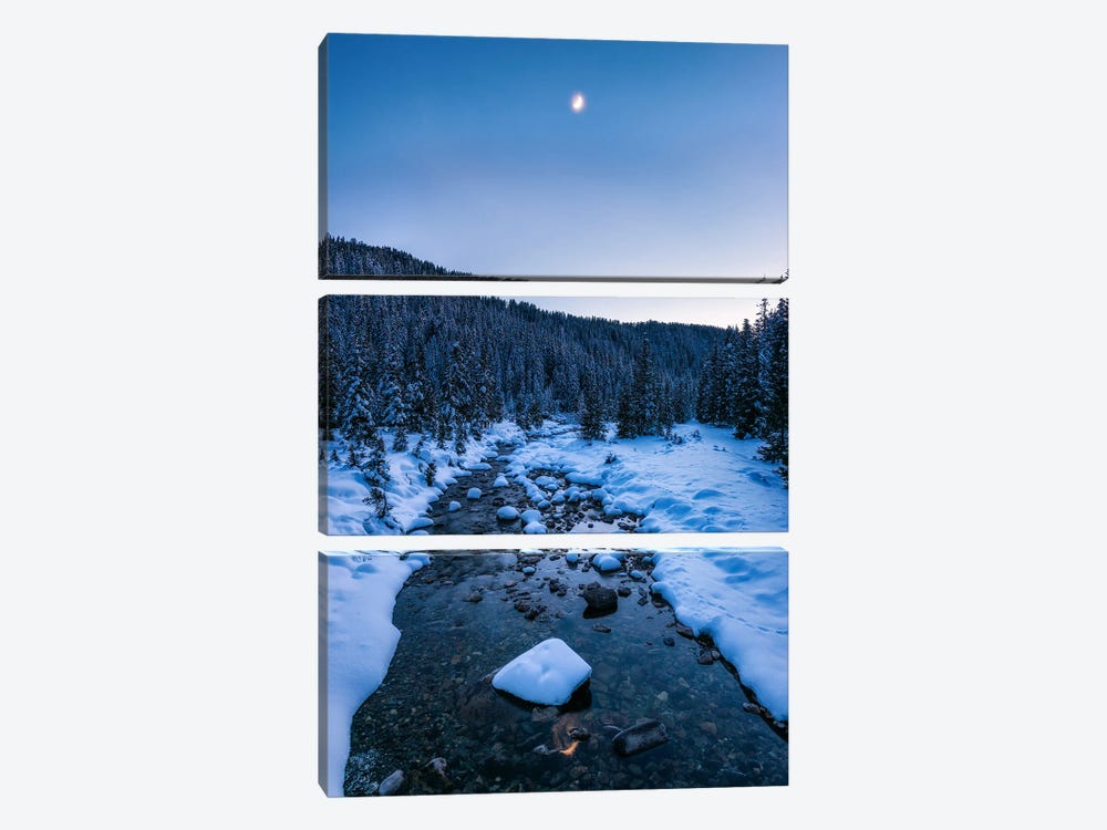 Cold Winter Scene In The Forest - Dolomites by Daniel Gastager 3-piece Art Print
