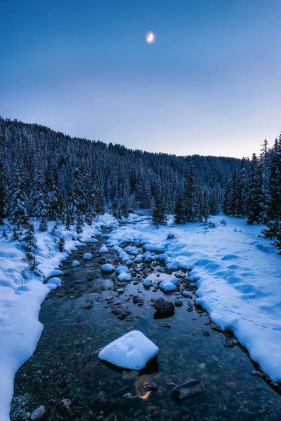 Daniel Gastager: Cold Winter Scene In The Forest - Dolomites by Daniel Gastager