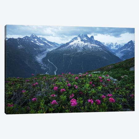 Summer Blue Hour In The French Alps Canvas Print #DGG516} by Daniel Gastager Art Print