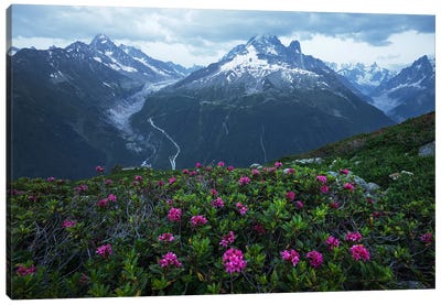 Summer Blue Hour In The French Alps Canvas Art Print - Daniel Gastager