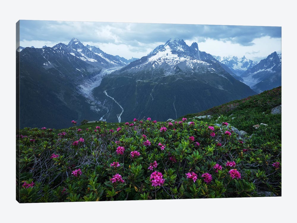 Summer Blue Hour In The French Alps by Daniel Gastager 1-piece Art Print