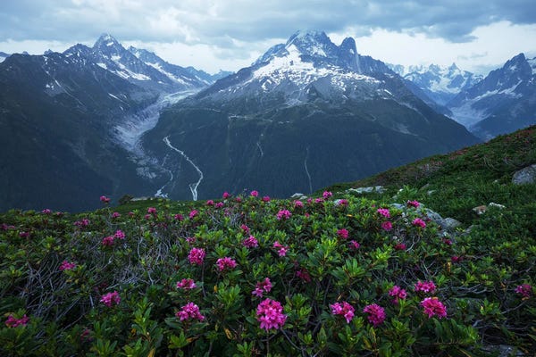 Daniel Gastager: Summer Blue Hour In The French Alps by Daniel Gastager