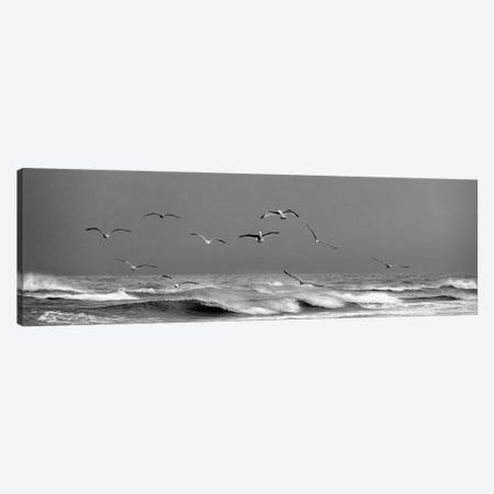 Seaguls Flying At The Wild Coast Of Skagen - Denmark Canvas Print #DGG518} by Daniel Gastager Canvas Wall Art