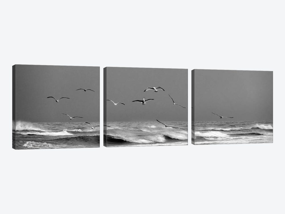 Seaguls Flying At The Wild Coast Of Skagen - Denmark by Daniel Gastager 3-piece Canvas Print
