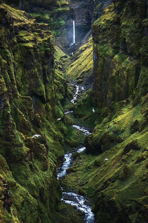 A Dramatic Green Canyon In Iceland