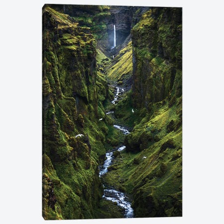 A Dramatic Green Canyon In Iceland Canvas Print #DGG51} by Daniel Gastager Canvas Art