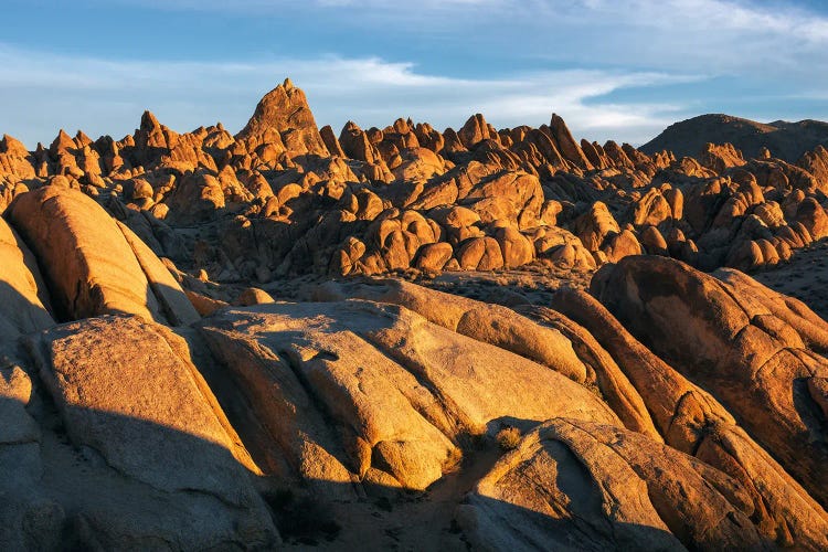 Golden Light In The Alabama Hills - California