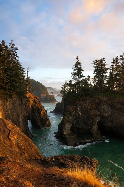 Oregon: Last Sunlight At The Oregon Coast by Daniel Gastager