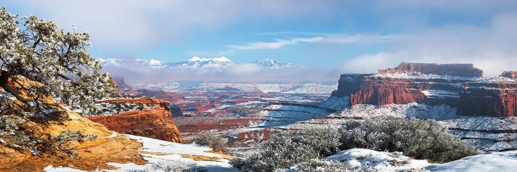 A Misty Winter Day In Canyonlands National Park