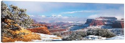 A Misty Winter Day In Canyonlands National Park Canvas Art Print - Daniel Gastager
