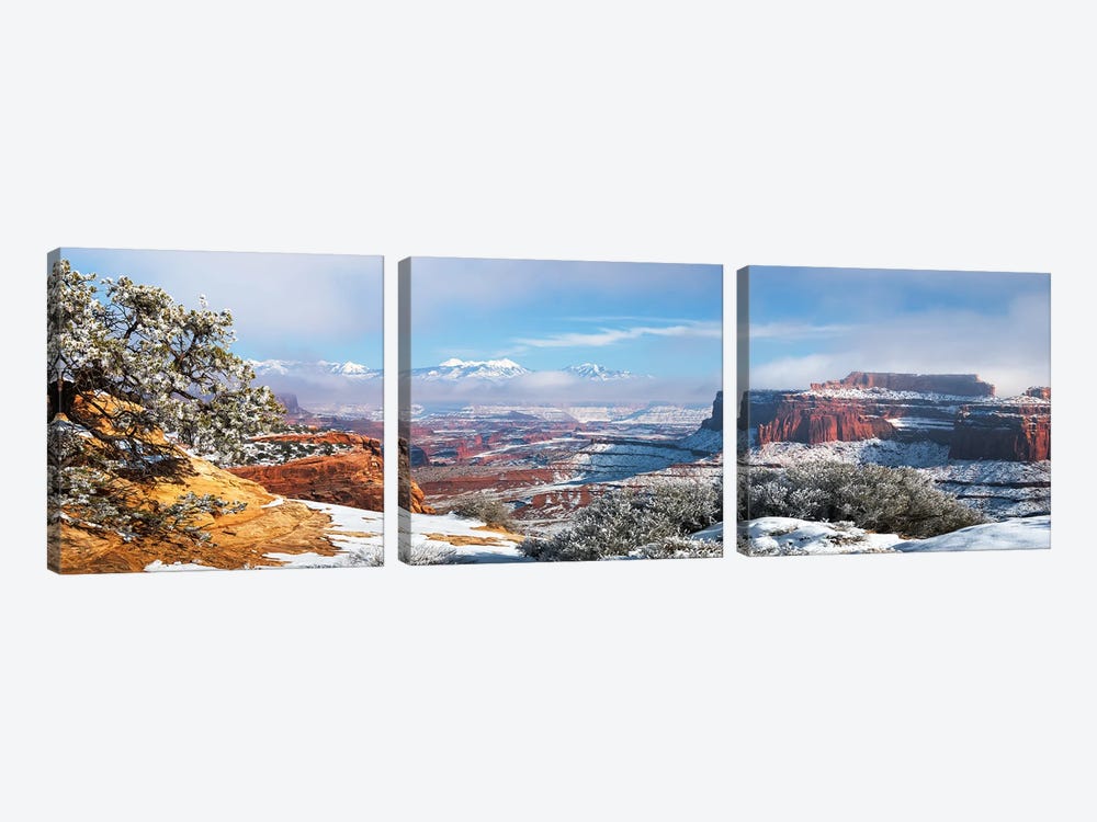 A Misty Winter Day In Canyonlands National Park by Daniel Gastager 3-piece Canvas Art Print