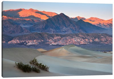 Sunset At Mesquite Sand Dunes - Death Valley National Park Canvas Art Print - Desert Landscape Photography
