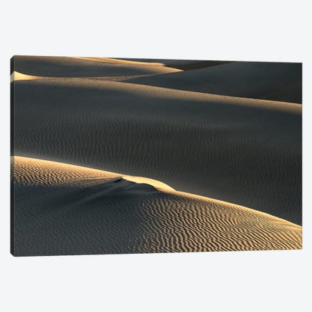 Golden Light In The Dunes - Death Valley National Park Canvas Print #DGG560} by Daniel Gastager Art Print