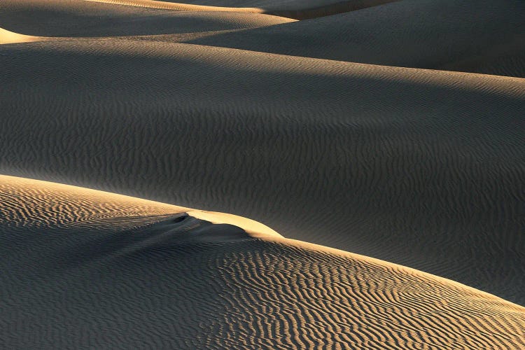 Golden Light In The Dunes - Death Valley National Park