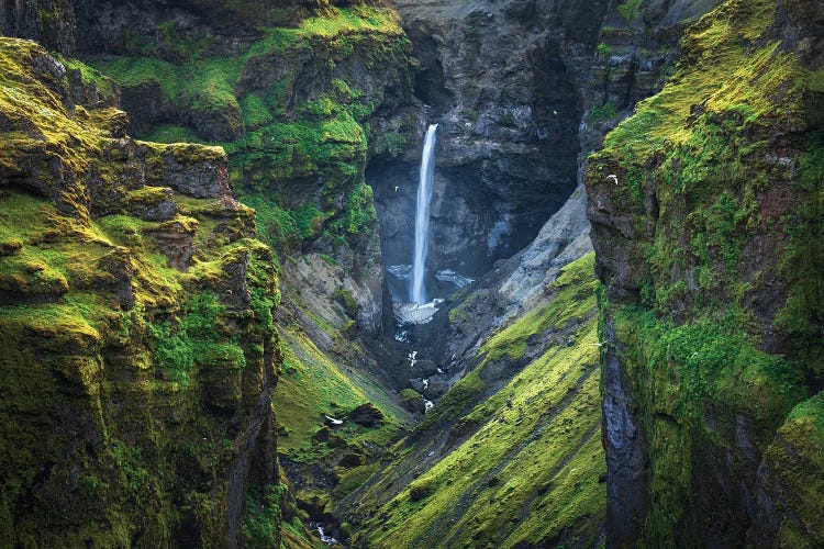 A Green Canyon In Iceland