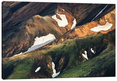 Icelandic Highland Closeup Canvas Art Print - Daniel Gastager
