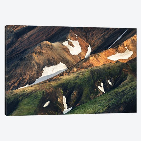 Icelandic Highland Closeup Canvas Print #DGG79} by Daniel Gastager Canvas Artwork