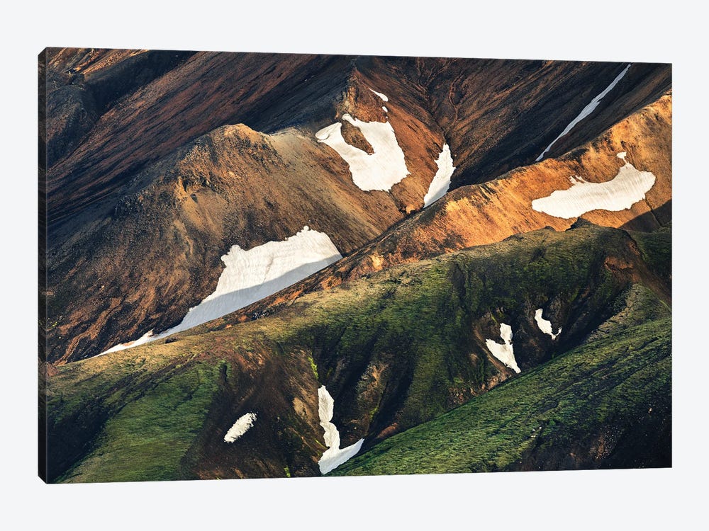 Icelandic Highland Closeup by Daniel Gastager 1-piece Canvas Artwork