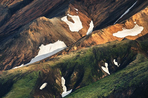 Iceland: Icelandic Highland Closeup by Daniel Gastager