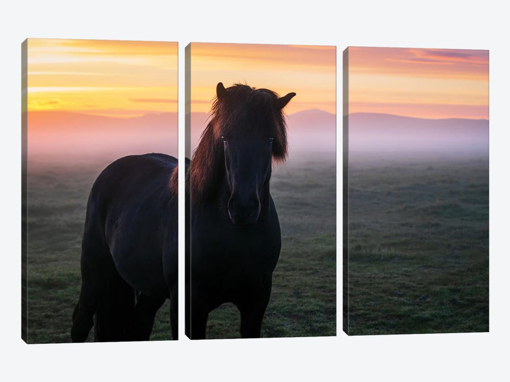 A Black Icelandic Horse And A Glowing Sunrise by Daniel Gastager 3-piece Canvas Art