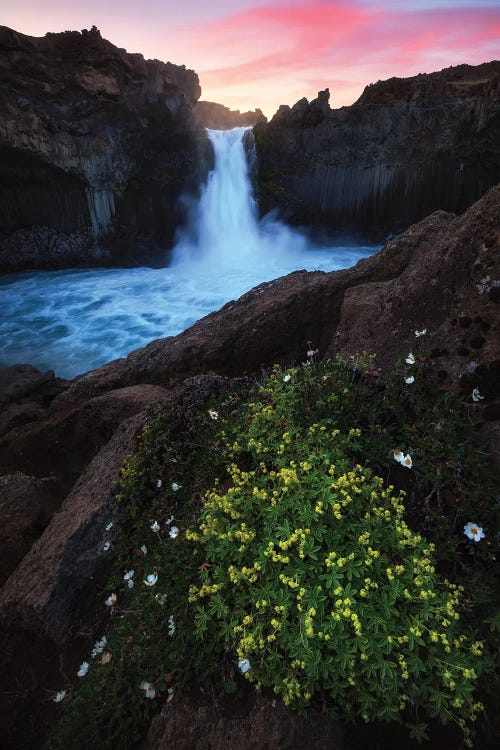 Summer Sunrise At Aldeyjarfoss In Northern Iceland