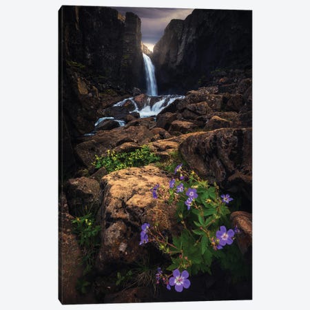 Flowers And Waterfalls In Iceland Canvas Print #DGG8} by Daniel Gastager Canvas Artwork