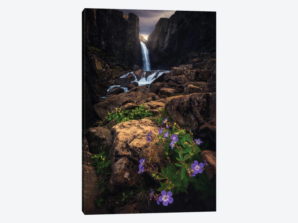 Flowers And Waterfalls In Iceland by Daniel Gastager 1-piece Canvas Art Print