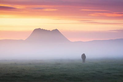 A Calm And Misty Summer Sunrise In Iceland by Daniel Gastager framed wall art