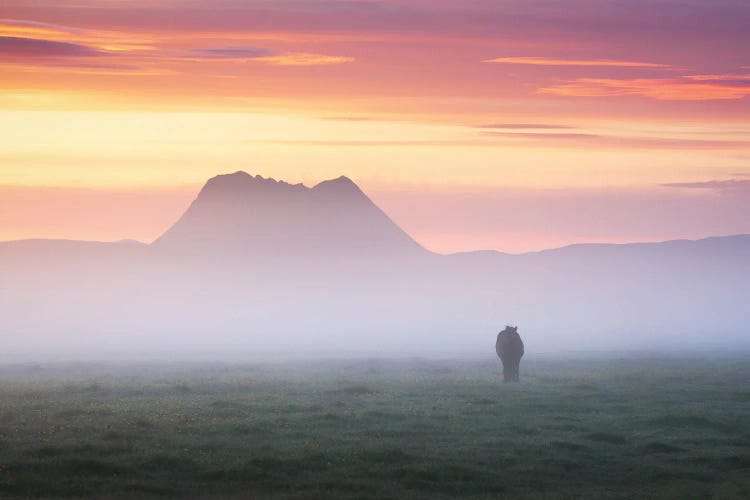 A Calm And Misty Summer Sunrise In Iceland