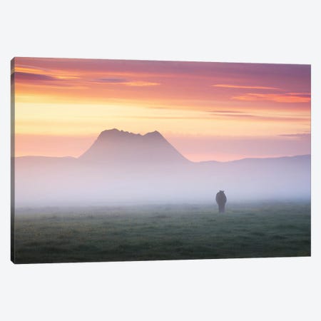 A Calm And Misty Summer Sunrise In Iceland Canvas Print #DGG92} by Daniel Gastager Canvas Wall Art