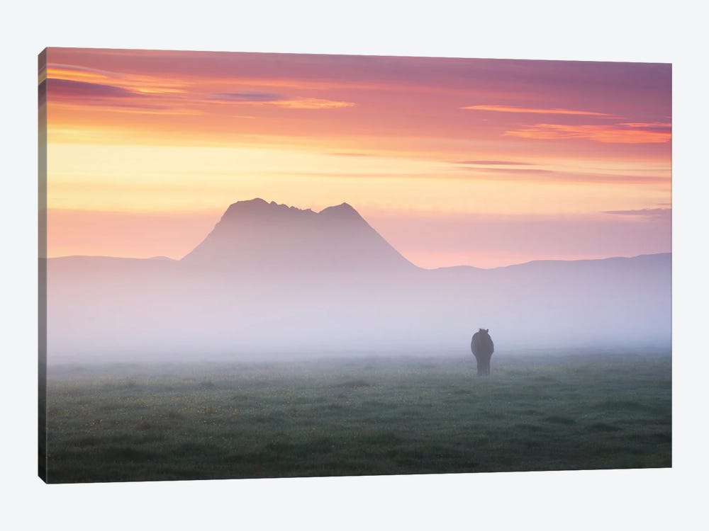 A Calm And Misty Summer Sunrise In Iceland by Daniel Gastager 1-piece Canvas Print