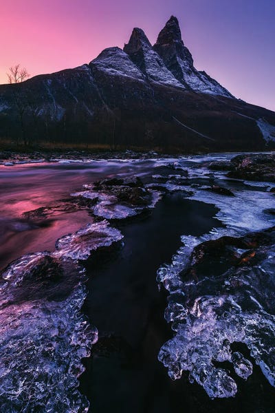 Arctic Glow In Northern Norway by Daniel Gastager framed wall art