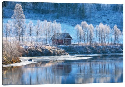 Cold Fall Morning In Northern Norway Canvas Art Print - Norway Art