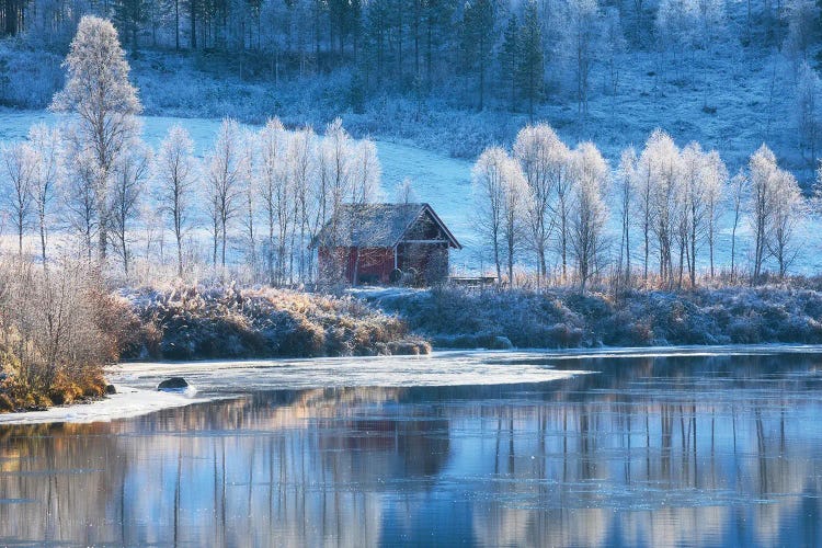 Cold Fall Morning In Northern Norway